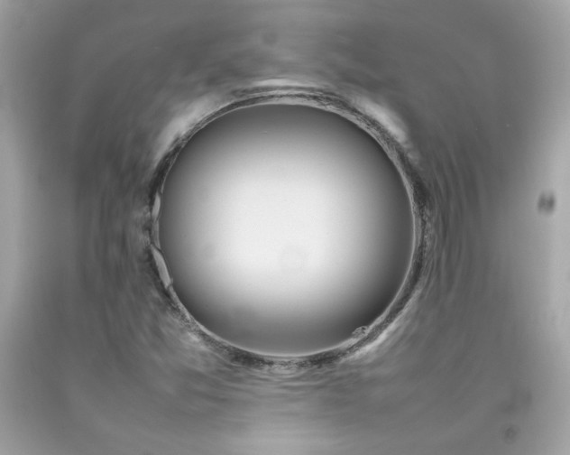 X0000092061357200709121346