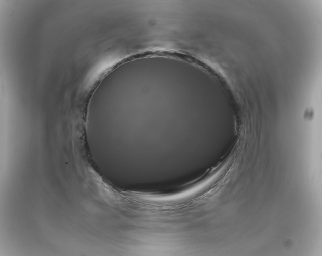 X0000092061359200709121346