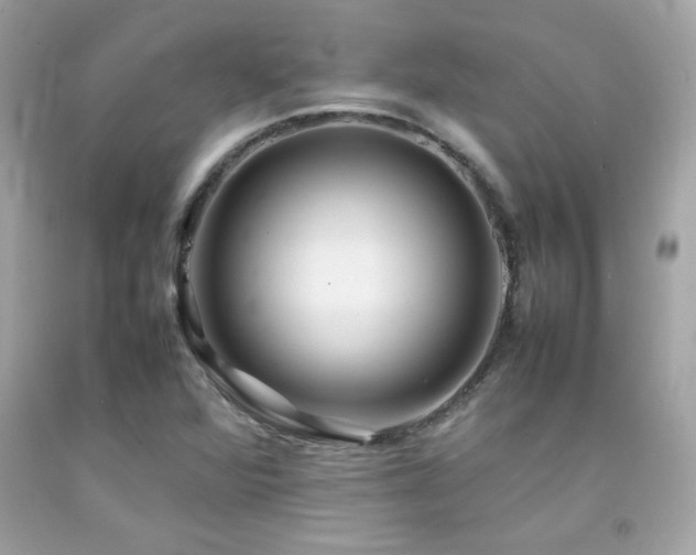 X0000092061360200709121346