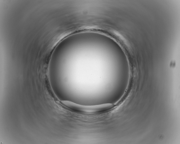 X0000092061361200709121346