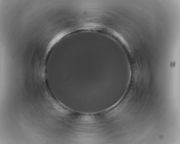 X0000092061362200709121346