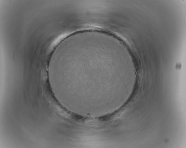 X0000092061363200709121346