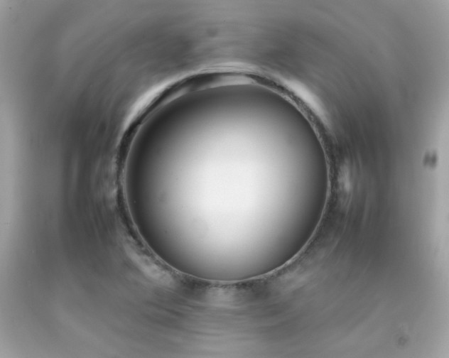 X0000092061364200709121346