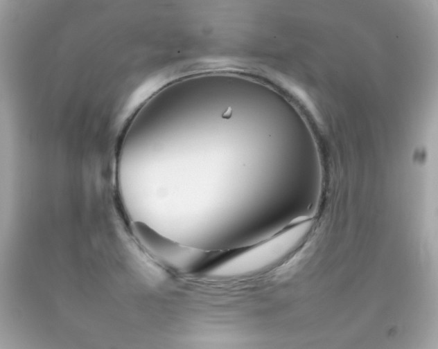 X0000092061365200709121346