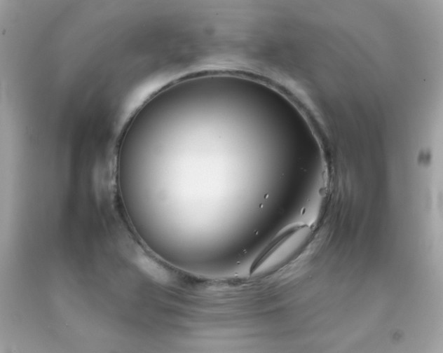 X0000092061366200709121346
