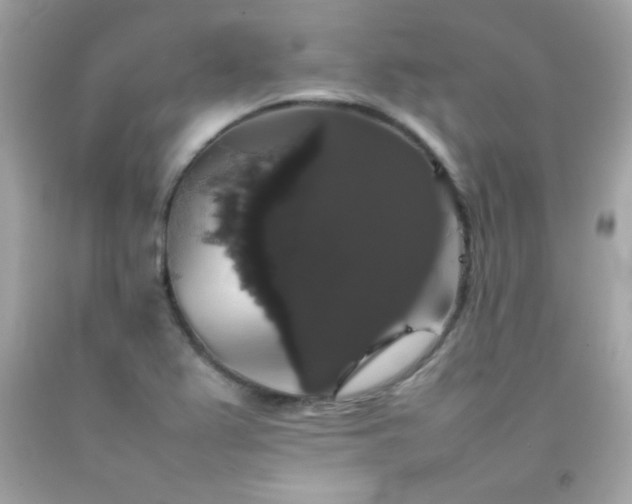 X0000092061367200709121346
