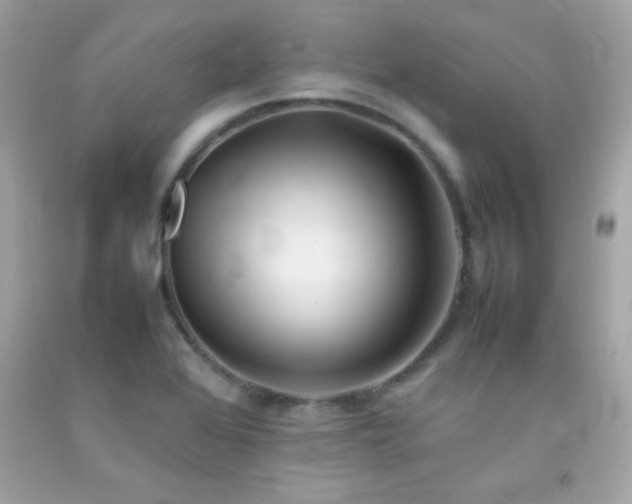 X0000092061368200709121346