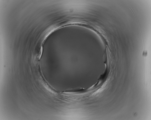 X0000092061369200709121346