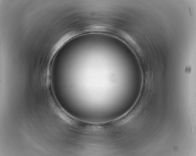 X0000092061370200709121346