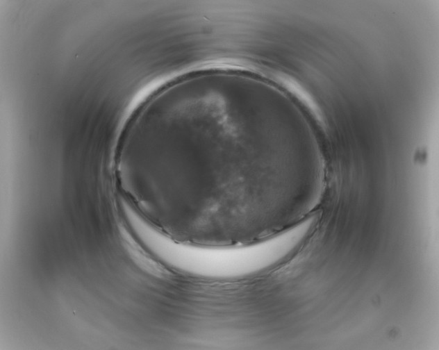 X0000092061372200709121346