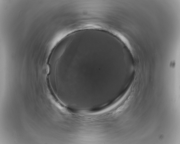 X0000092061373200709121346