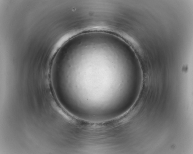 X0000092061374200709121346