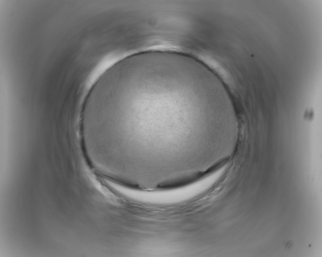 X0000092061375200709121346
