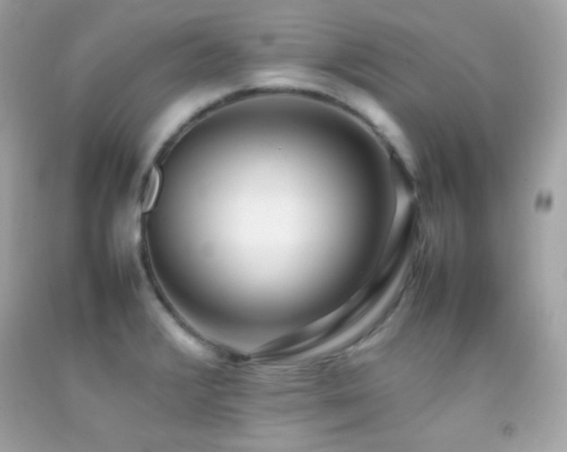 X0000092061376200709121346