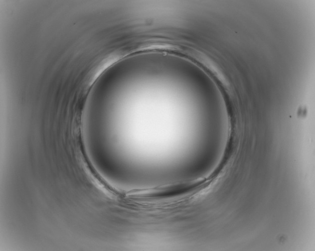 X0000092061377200709121346