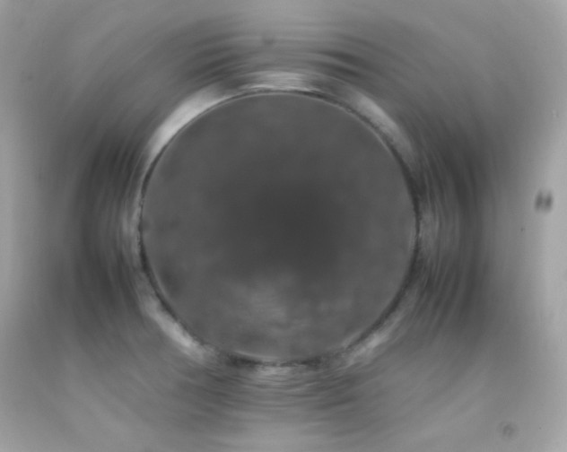 X0000092061378200709121346