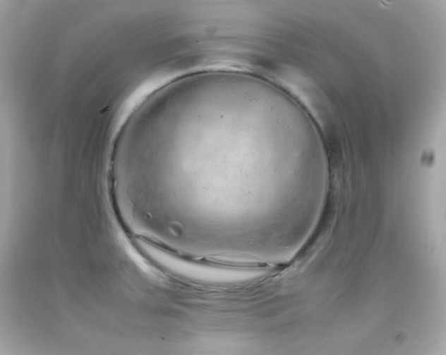 X0000092061379200709121346