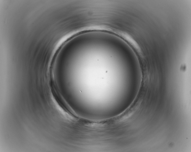 X0000092061380200709121346