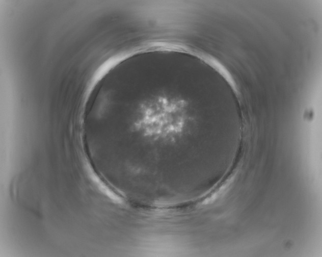 X0000092061381200709121346