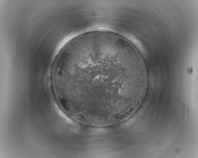 X0000092061382200709121346