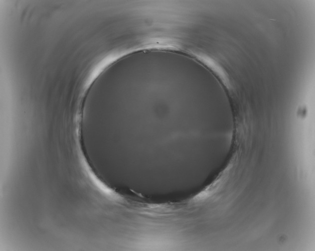X0000092061383200709121346