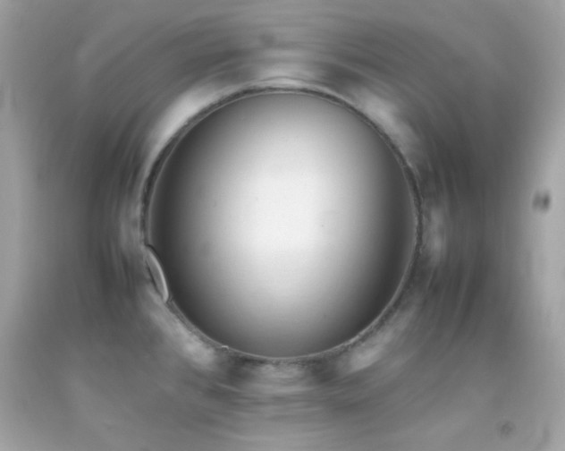 X0000092061384200709121346