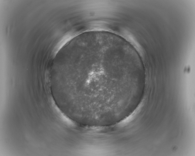X0000092061385200709121346
