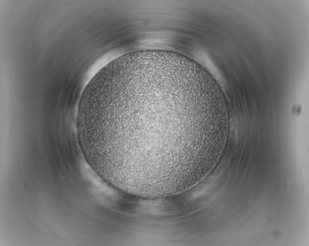 X0000092061386200709121346