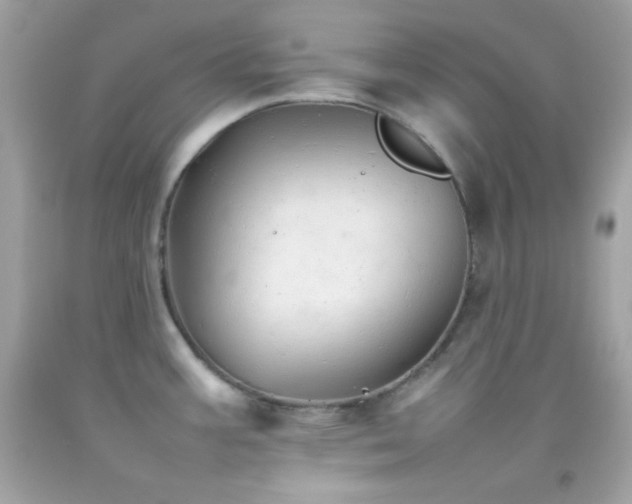 X0000092061387200709121346