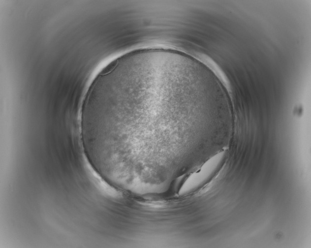 X0000092061388200709121346