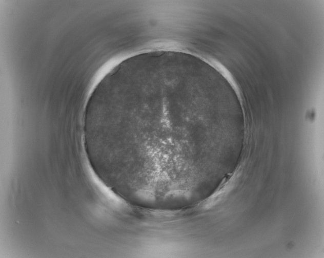 X0000092061389200709121346