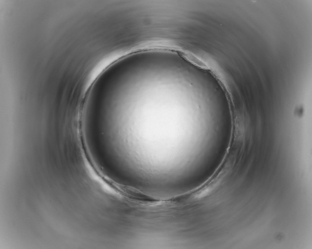 X0000092061390200709121346