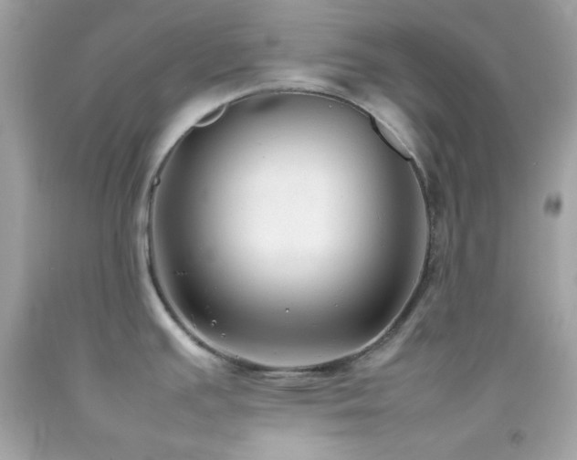 X0000092061391200709121346