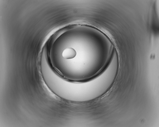 X0000092061392200709121346