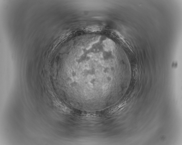 X0000092061393200709121345