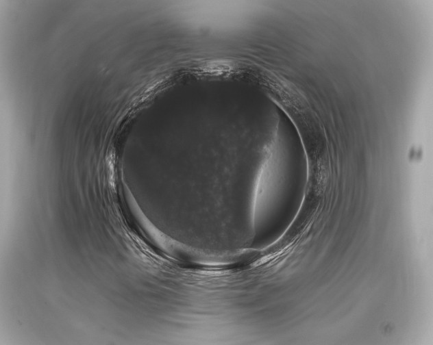 X0000092061394200709121345