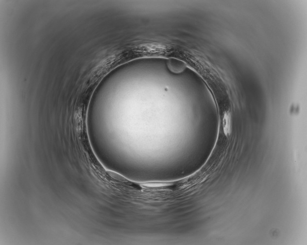 X0000092061395200709121345