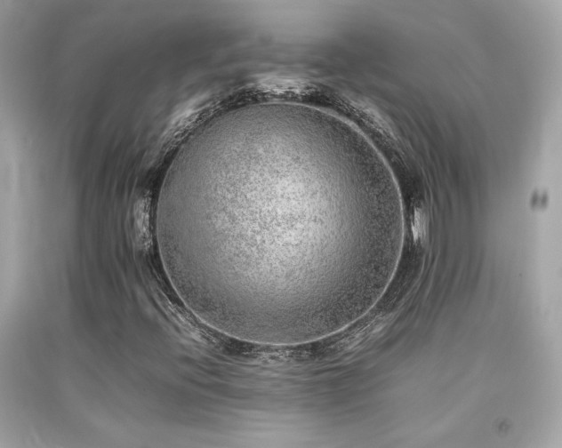 X0000092061396200709121345