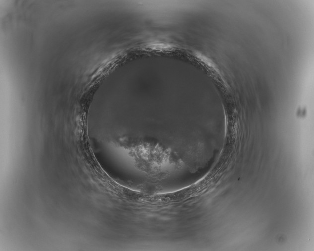 X0000092061397200709121345