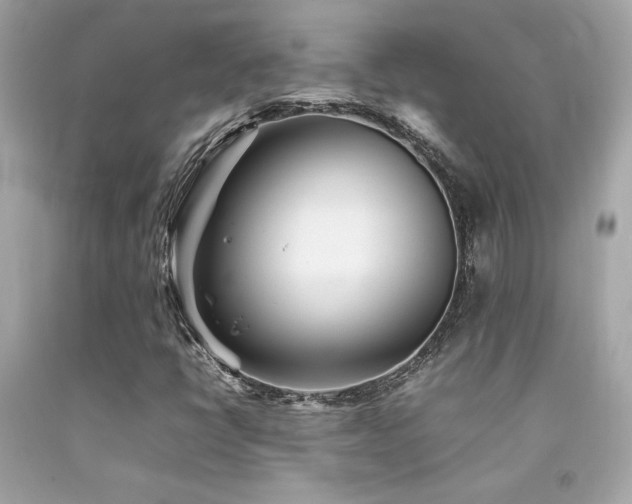 X0000092061398200709121345