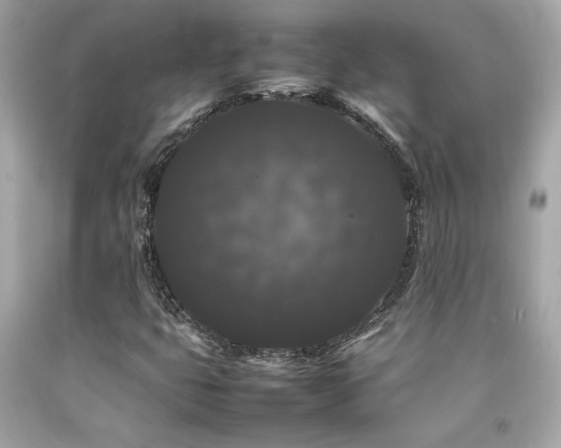 X0000092061399200709121345