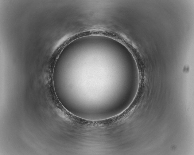 X0000092061400200709121345