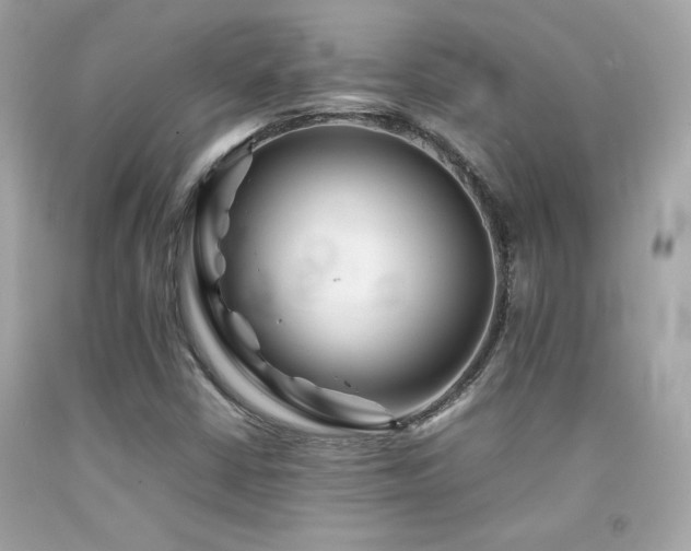 X0000092061402200709121345