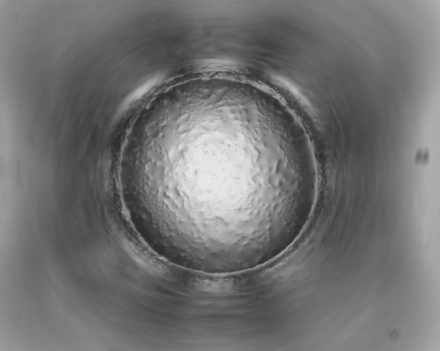 X0000092061403200709121345