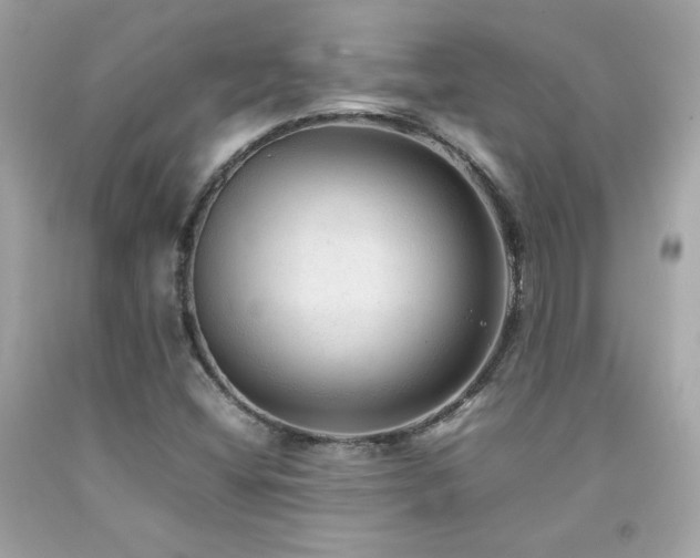 X0000092061404200709121345