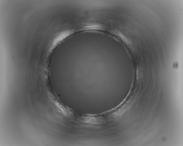 X0000092061405200709121345