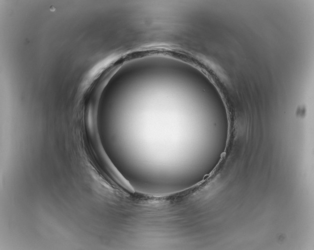 X0000092061406200709121345