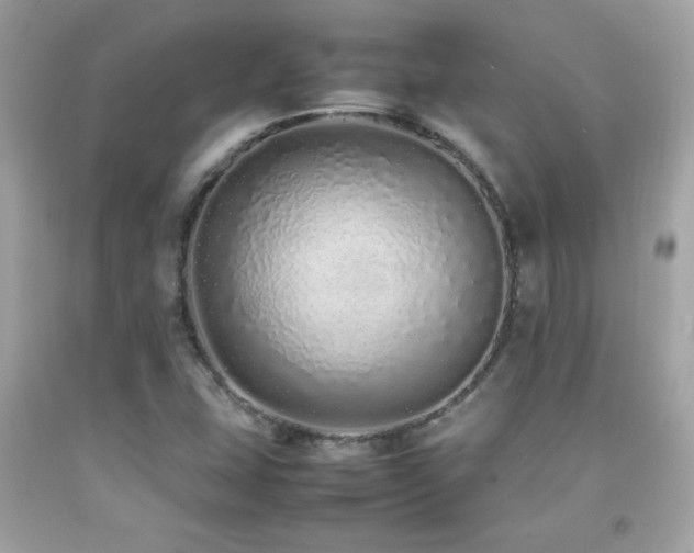 X0000092061407200709121345