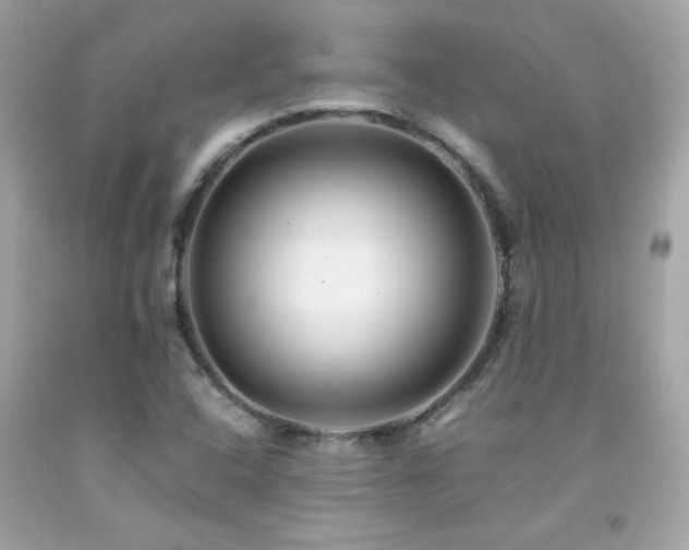X0000092061408200709121345