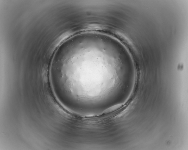 X0000092061409200709121345